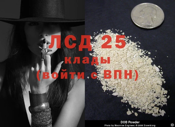 ПСИЛОЦИБИНОВЫЕ ГРИБЫ Алексеевка